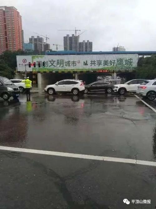 石家庄新华区最新爆料群,最新动态一网打尽